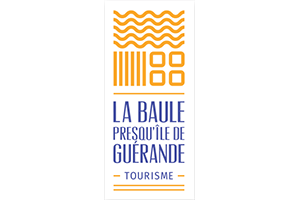 logo baule