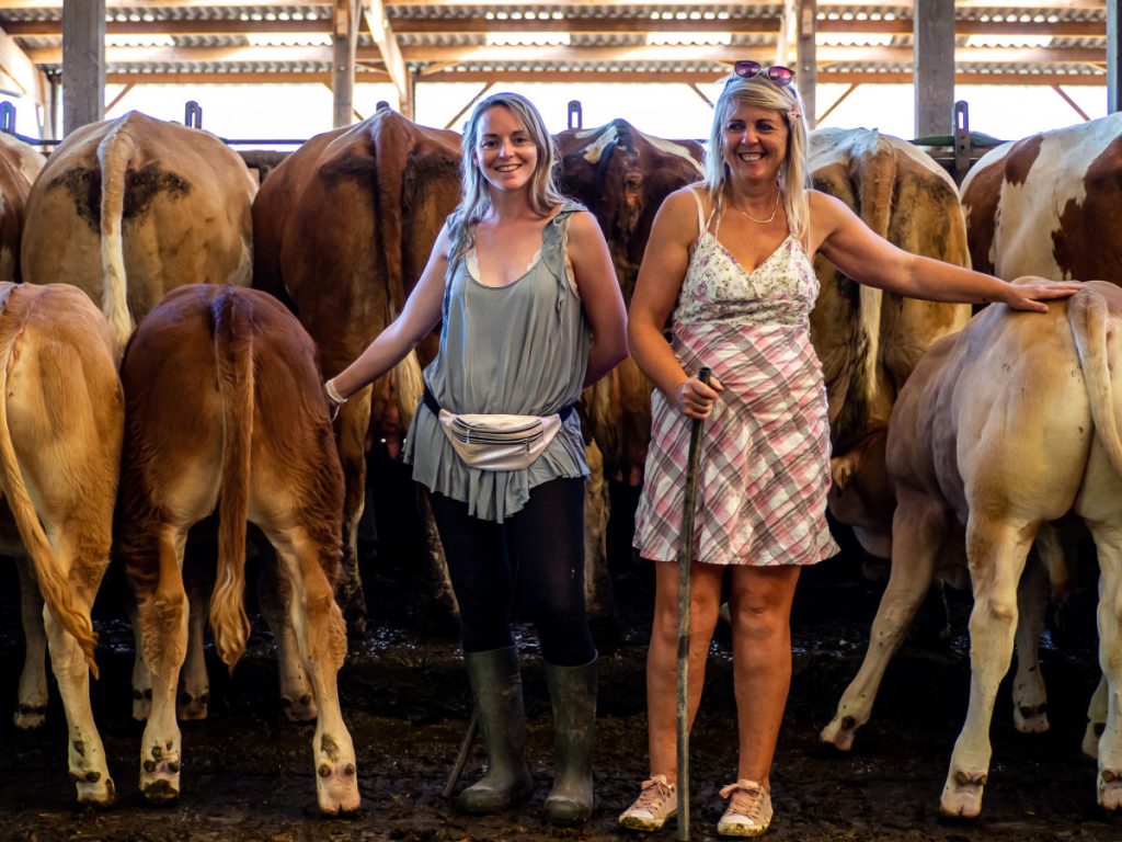 manger local producteur local veaux de nathalie saint molf